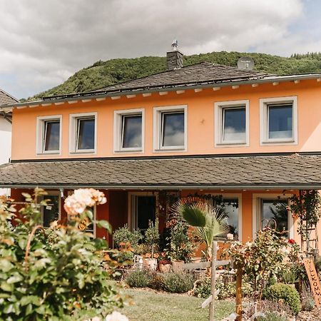 Wein- Und Gaestehaus Schwaab&Sohn Эрден Экстерьер фото